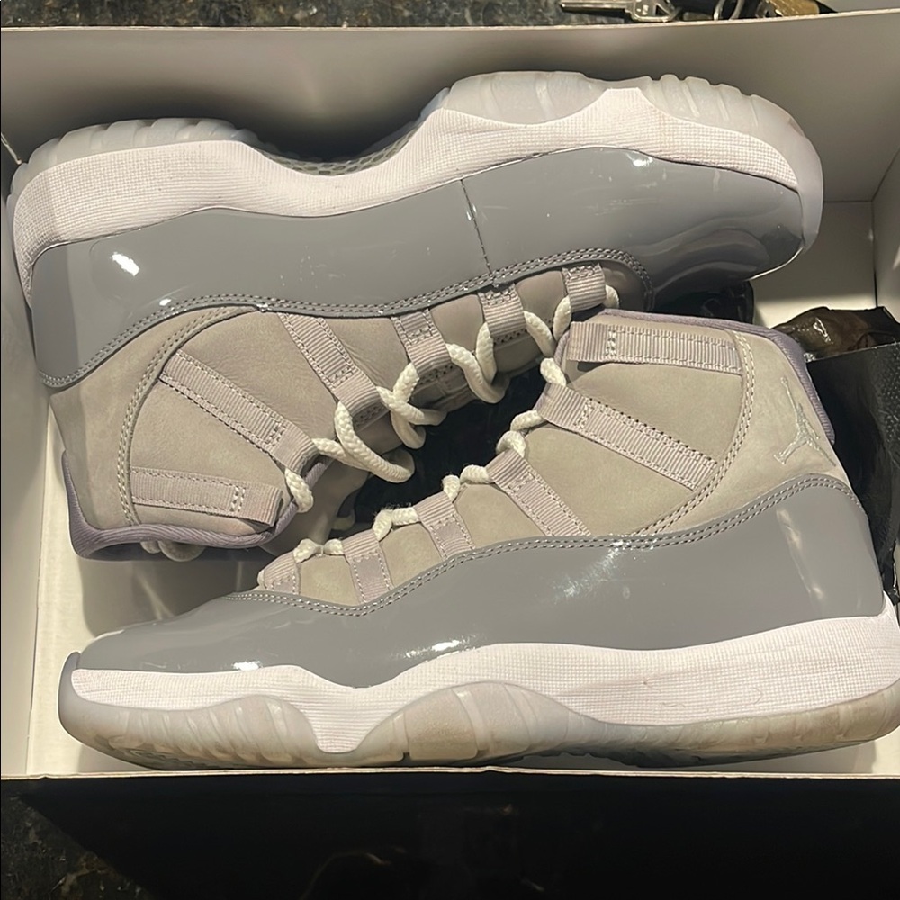 Jordan 11 “Cool Grey”